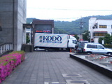 kodo