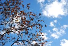 タムラトモキのLbidoのほほん雑記帳-空