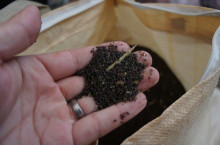 $一隅を照らす奮闘記タムラトモキ