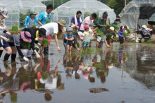 $一隅を照らす奮闘記タムラトモキ