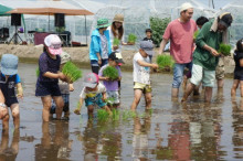 $一隅を照らす奮闘記タムラトモキ
