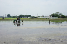 一隅を照らす奮闘記タムラトモキ