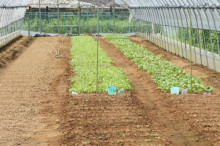 タムラトモキのLibidoのほほん雑記帳