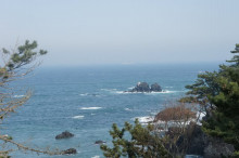 $一隅を照らす奮闘記タムラトモキ