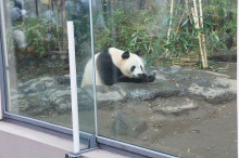 $一隅を照らす奮闘記タムラトモキ