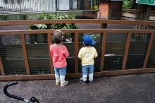 一隅を照らす奮闘記タムラトモキ