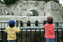 一隅を照らす奮闘記タムラトモキ