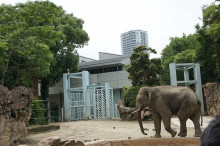 $一隅を照らす奮闘記タムラトモキ