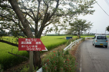 $タムラトモキのLibidoのほほん雑記帳