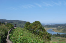 $タムラトモキのLibidoのほほん雑記帳