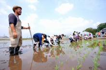 一隅を照らす奮闘記タムラトモキ