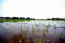 一隅を照らす奮闘記タムラトモキ