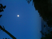 $一隅を照らす奮闘記タムラトモキ