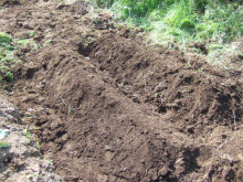 タムラトモキのLibidoのほほん雑記帳