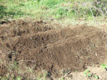 タムラトモキのLibidoのほほん雑記帳