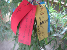 タムラトモキのLibidoのほほん雑記帳-777777