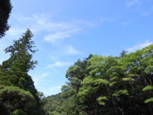 タムラトモキのLibidoのほほん雑記帳-54