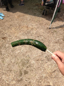 $一隅を照らす奮闘記タムラトモキ