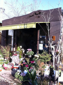 一隅を照らす奮闘記タムラトモキ