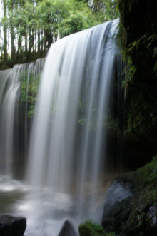 $タムラトモキのLibidoのほほん雑記帳