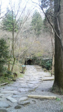 タムラトモキのLibidoのほほん雑記帳-４５６