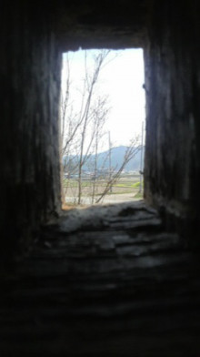 タムラトモキのLibidoのほほん雑記帳-６